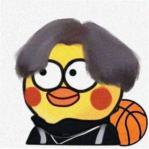 内容与片单方向主编苏迟头像